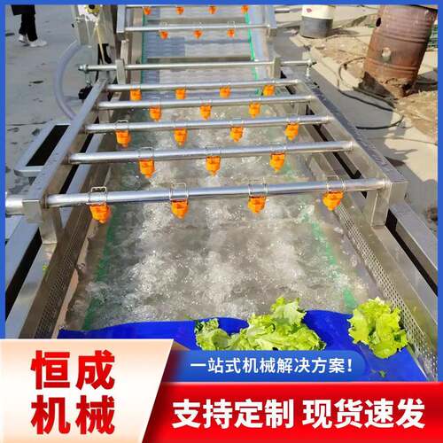 果蔬气泡清洗机连续式中药材清洗加工设备商用梅干菜生姜清洗机