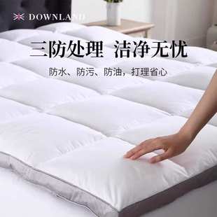 英国Downland Classical环球客复合鹅毛软垫羽绒软垫床褥子双人款