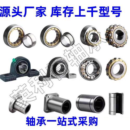 SL014926 SL014928 SL014830 SL014930德国IUA索轮止动槽滚子轴承