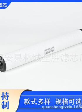 053200050泵7替代普排旭真空滤芯RA/C40005320005-6R30气过滤器净