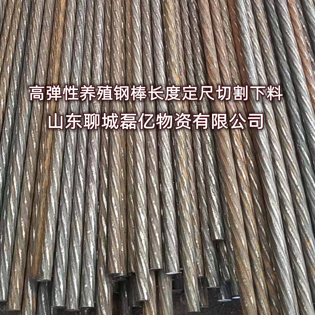 养殖场漏粪板专用钢棒加工定尺长短10.7 12.6耐腐蚀养猪pc钢棒厂