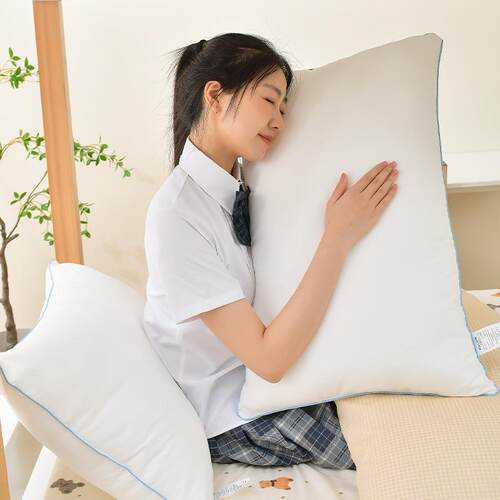 新款直销开学季学生枕宿舍羽丝绒枕高中生大学生单人枕青少年初中
