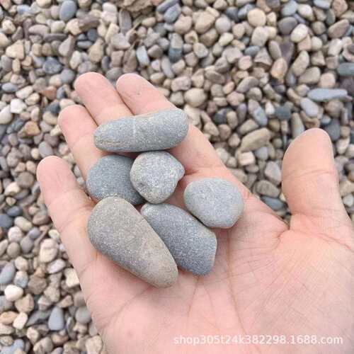 鹅卵石大量现货鹅卵石污水处理园林铺路鹅卵石