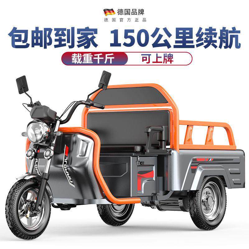 载人电动三轮车休闲可拉货客两用电车家用兜风车观光游览接送电车