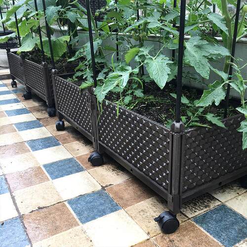 种植箱大号塑料花盆植物爬藤架室外庭院花槽阳台花箱菜盆爬藤架