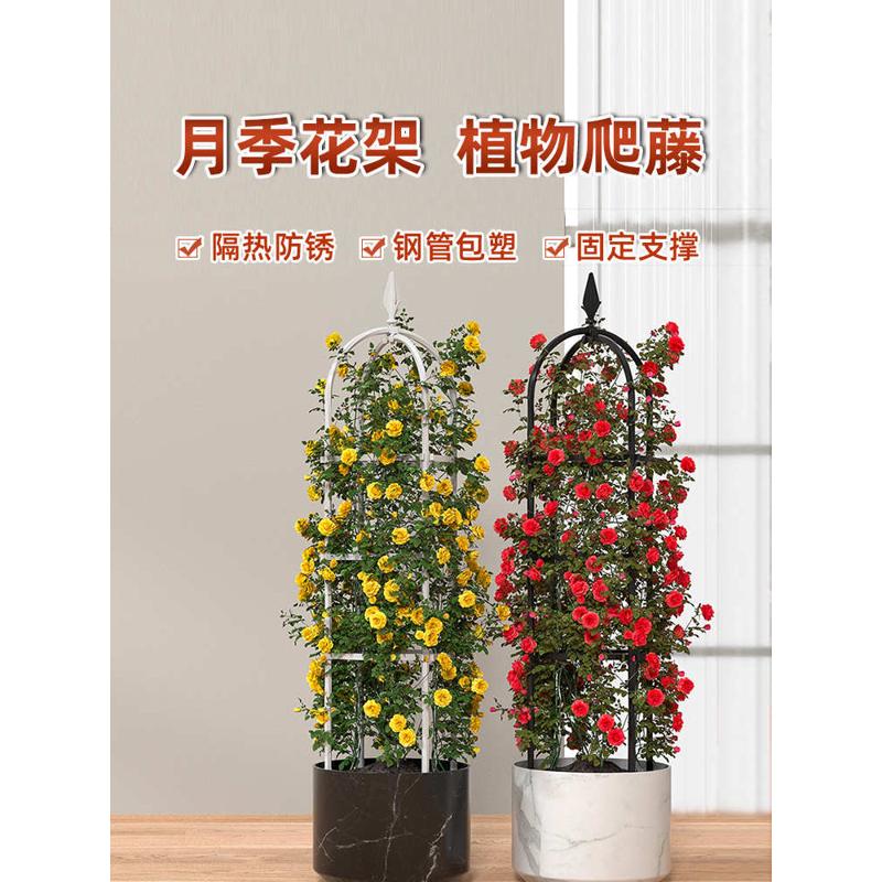花架爬藤架藤架铁线莲支架铁艺月季阳台攀爬植物架子杆户外支撑架