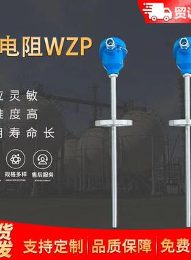 供应WZPK-393铠装热电阻pt100 -200~500（℃）A/B级 热工仪表