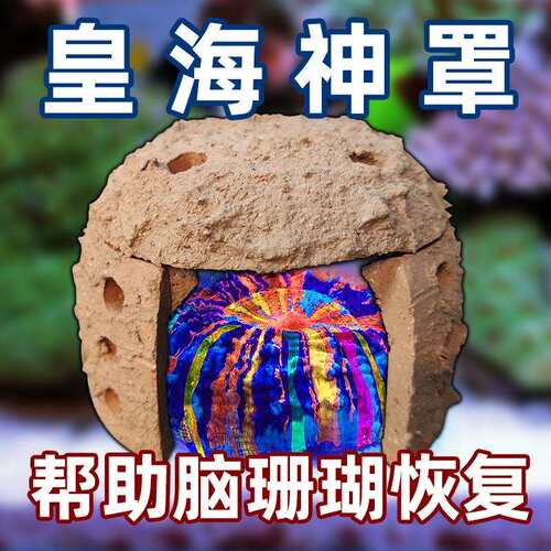 皇海神罩脑珊瑚恢复救治富士脑甜甜圈八字巴黎巴里水晶脑遮光挡流