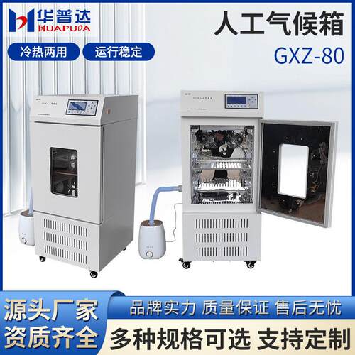 GXZ-80人工气候箱实验室植物种子催芽箱电热恒温恒湿光照培养箱