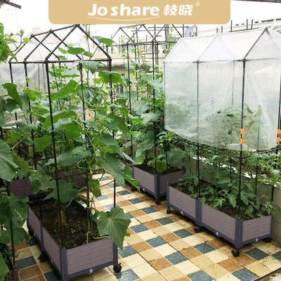 户外花园种植箱拱门套装花架爬藤支架花架拱形花园庭院拱门爬藤架