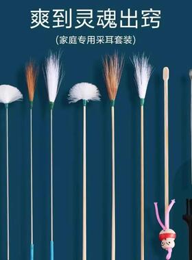 Professional Ear Cleaning Tool Set, including ear picks, dig