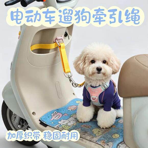 小型犬电动车防跳牵引绳狗狗可调节网红款宠物外出兜风固定神器