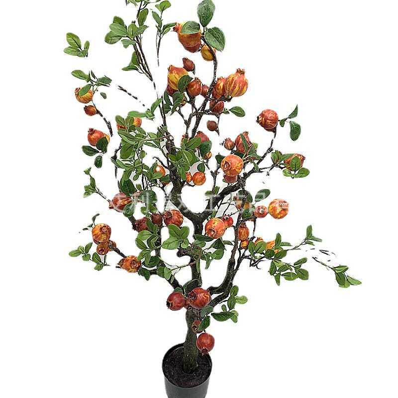 餐厅家居假盆景带盆栽 树果树植物植绿果日常装饰石榴树
