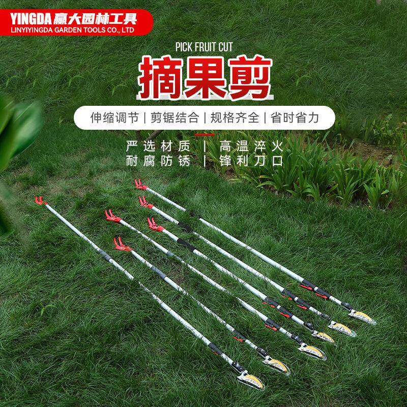 赢大摘剪摘果器BDS伸缩高空果采摘果剪高枝剪龙眼枇杷摘荔枝园林