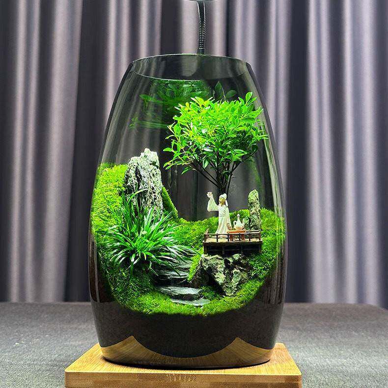 （云海间）微景观创意假山造景植物家居室内客厅办公室桌面摆件。