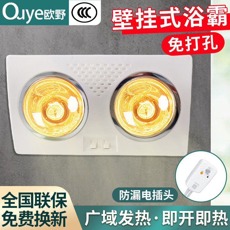 二灯浴霸卫生间防漏电集成灯暖吊顶壁挂取暖灯漏保功能壁挂式
