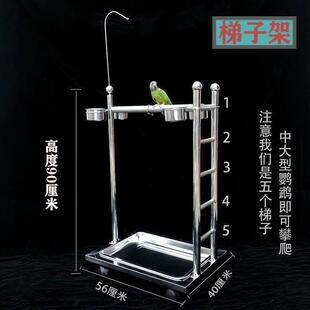 灰鹦鹉金刚鹦鹉不锈钢站架鸟站架磨砂站杆落地式大型架子站架配件