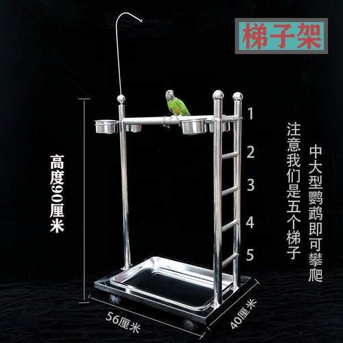 灰鹦鹉金刚鹦鹉不锈钢站架鸟站架磨砂站杆落地式大型架子站架配件