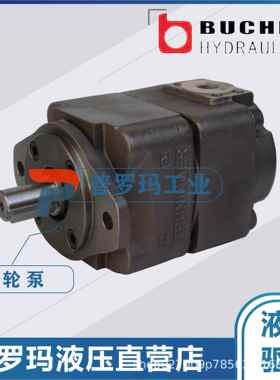 德国布赫BUCHE液压泵QX43-020 QX43-025 QX63-080 QX63-125现货