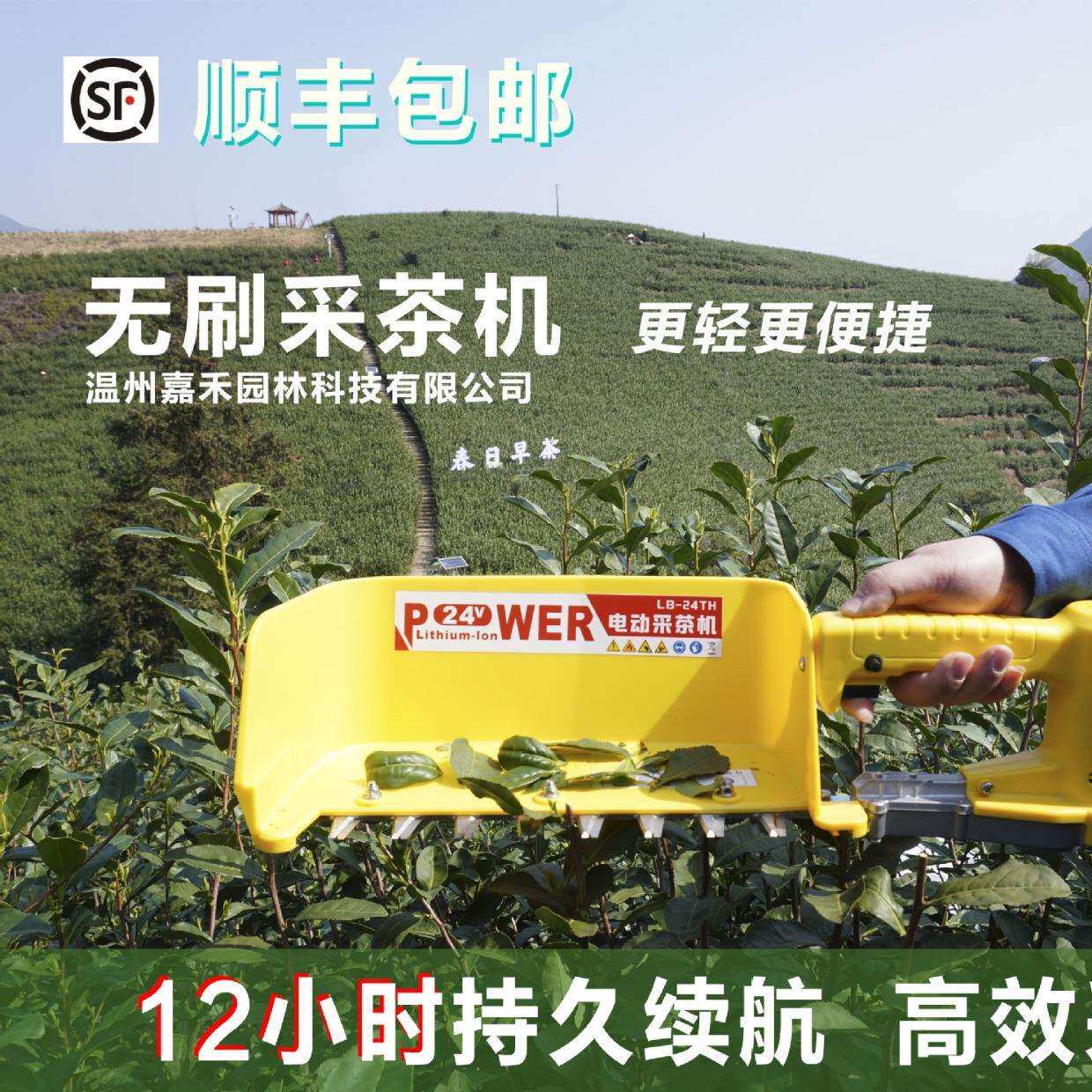 无刷电动采茶机单人充电便捷式小型采摘机