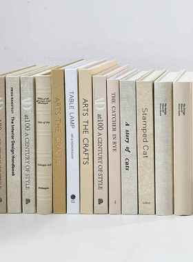 现代简约米白色装饰真书样板间样品屋展示中心客厅书柜饰品彷真书