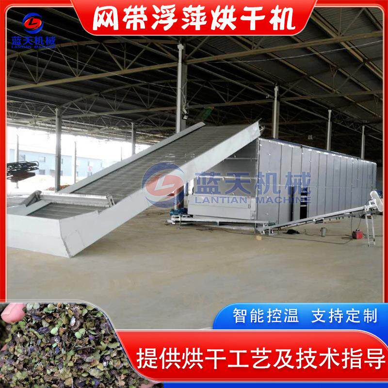 网带浮萍烘干机全自动浮萍子九子萍海藻干燥机水生植物烘干设备