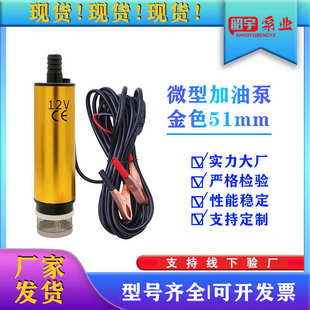 煤油抽油泵 铝合金直流微型抽油泵抽水泵12v24v加油泵潜水泵便携式