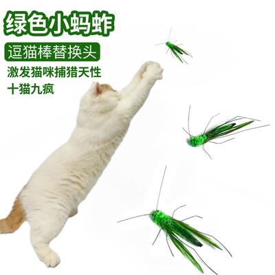 猫咪玩具彷真昆虫蚂蚱逗猫棒替换头羽毛小飞虫逗猫棒头替换装新款