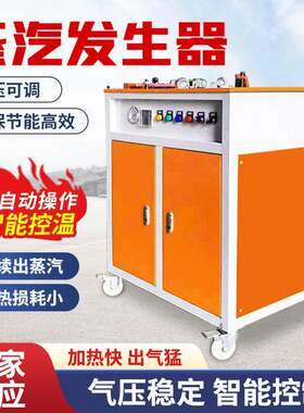 桥梁养护蒸汽发生器电热燃油道路水泥养护蒸汽机工业用蒸汽锅炉