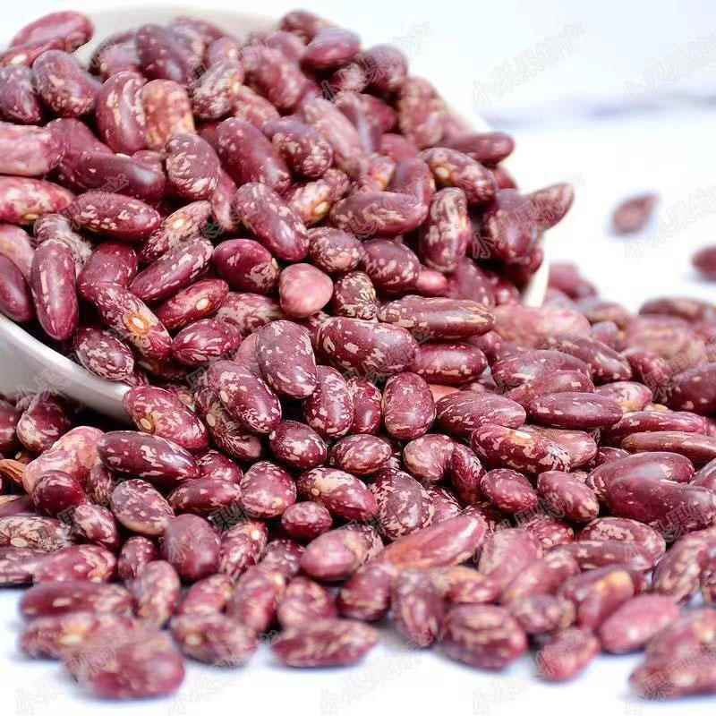 贵州特产花豆贵阳当季新鲜大花豆酸菜豆米火锅腰豆芸豆四季豆农家