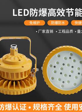 隔爆型化工厂加油站防爆射灯仓库车间BAD85-810防爆高效节能LED灯