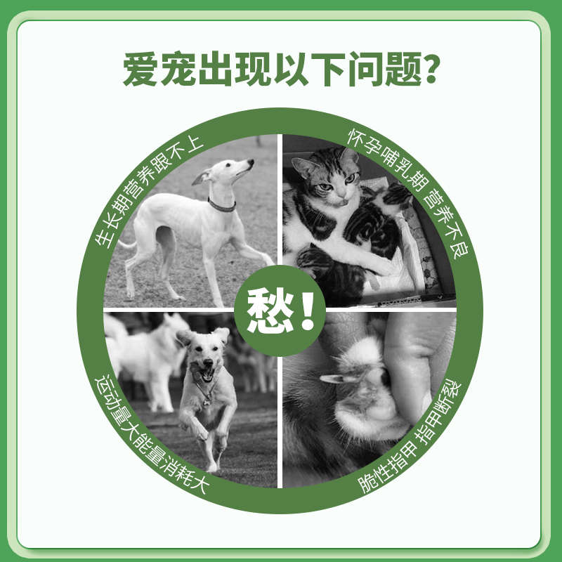 毛皮多维猫咪狗狗用复合维生素补充营养改善宠物毛色光泽美毛护毛