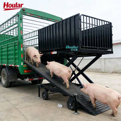 卸猪台80hroula养猪升降平台大型卸猪台殖装卸平台生养定猪周转升