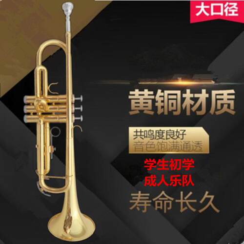 厂家宫泽风学生初学降B调小号乐器西洋铜管成人乐队演奏