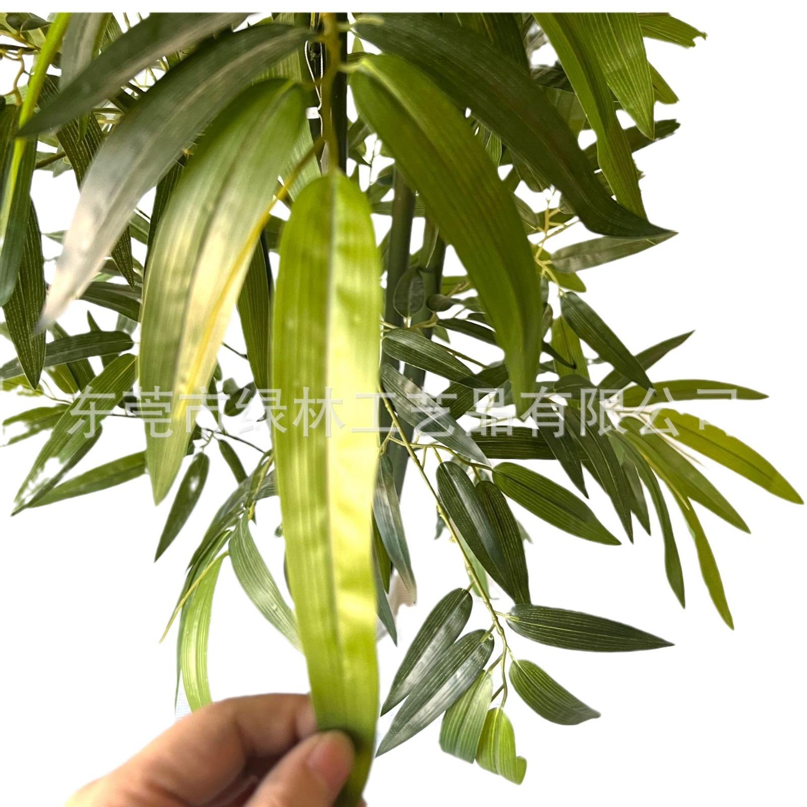 仿真绿竹真杆绿植客厅公司绿植室外绿植富贵竹