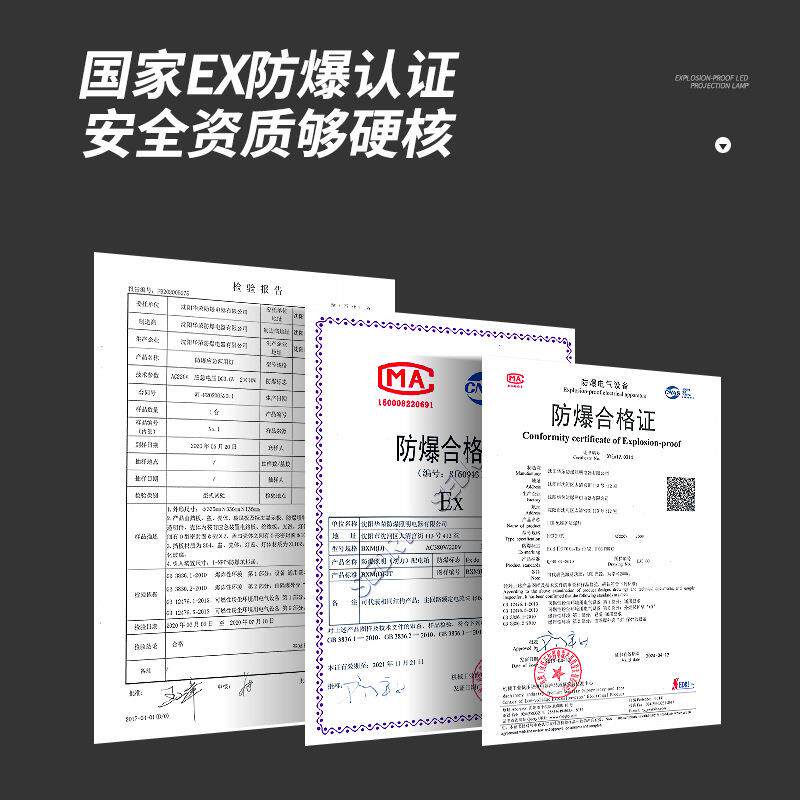 LED防爆灯 隔爆型100W车间仓库厂房防爆工矿灯罩加油站天棚三防灯