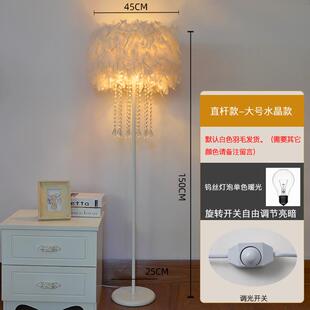 新款灯具网室红色毛水晶立羽式落地白灯客厅书房卧床头台灯主播补