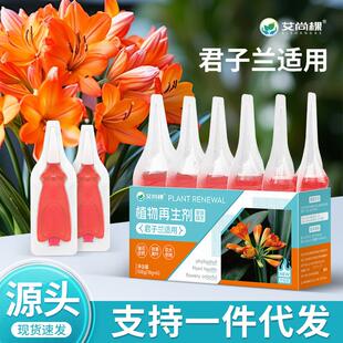君子兰植物再生剂花肥养花专用肥营养液花草绿植君子兰盆栽艾尚棵