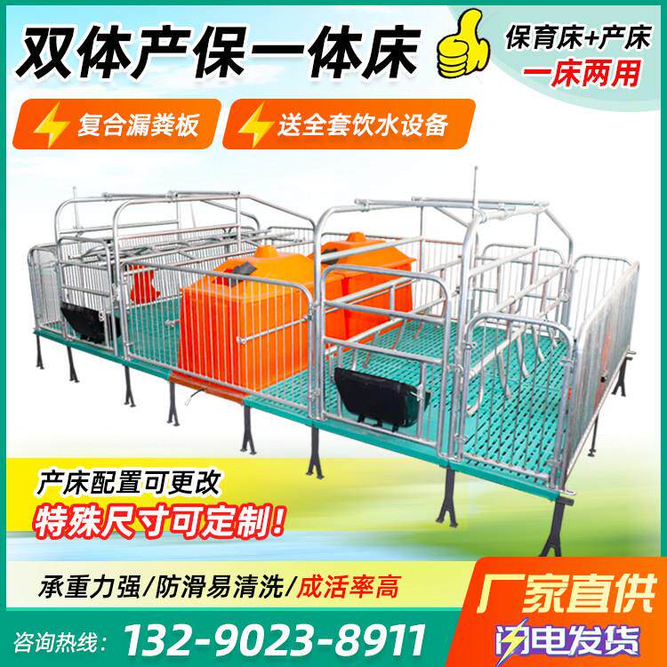母猪双体产床全复合母猪保育床分娩床双体产保一体床养殖设备器械