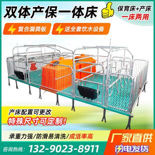 母猪双体产床全复合母猪保育床分娩床双体产保一体床养殖设备器械