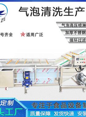 农作物花生米大豆喷淋过滤清洗设备厂家优惠果蔬多功能气泡清洗机
