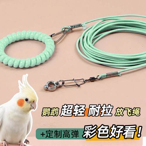 玄凤鹦鹉牵引绳超轻脚环外出遛鸟虎皮八哥牡丹小太阳小鸟放飞专用