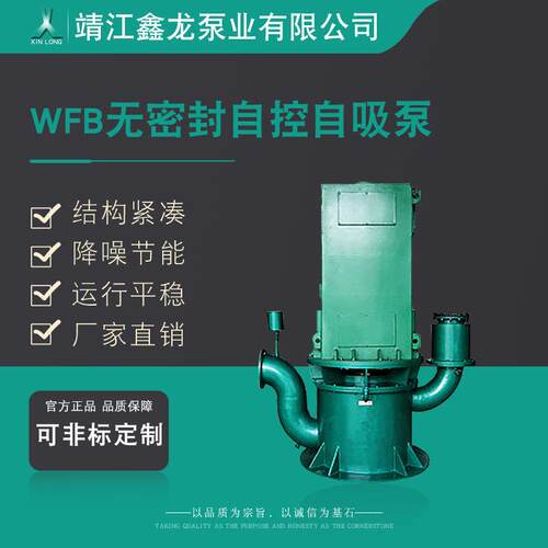 WFB系列立式耐温耐压无密封自控自吸泵（高压大功率）可定制