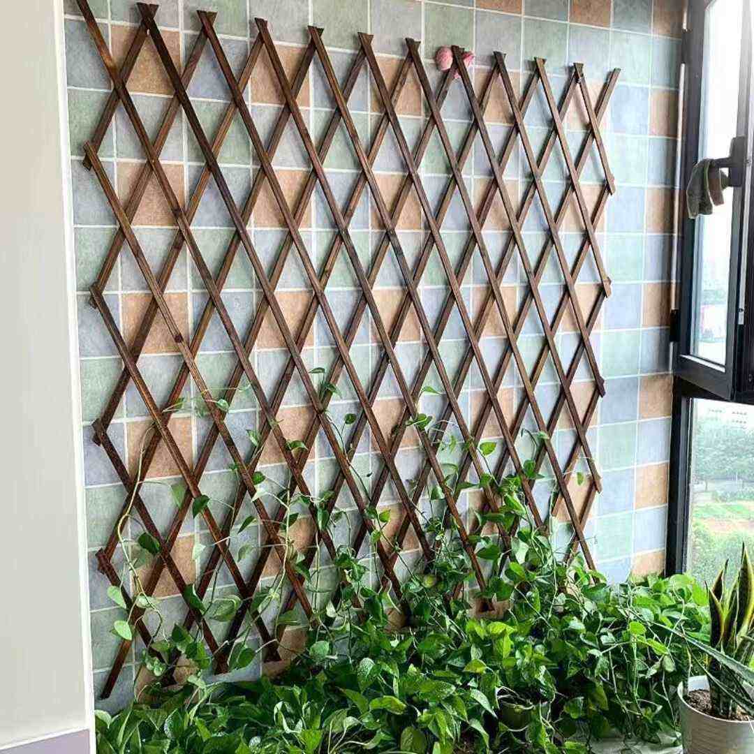 爬藤架户外防腐木阳台栅栏伸缩网格防晒花园庭院墙面月季攀爬薇妍,鲜花速递/花卉仿真/绿植园艺,花架,淘宝优惠券,粉丝福利购,淘宝优惠卷