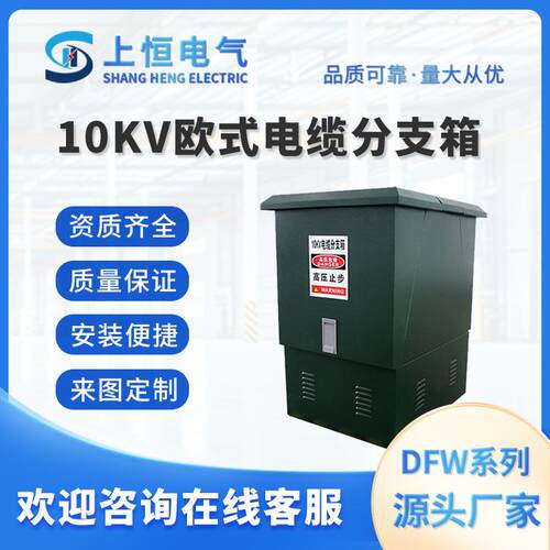 10KV电缆分支箱DFW-12/630一进一二三四五出欧式插拔式分接箱户外