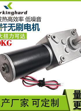 A5840-31ZY蜗杆减速电机大扭矩机器人带自锁减速4058GW31微型马达