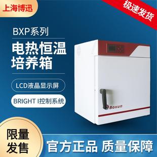 上海博迅 BXP-65电热恒温培养箱实验室实验室自然对流恒温培养箱