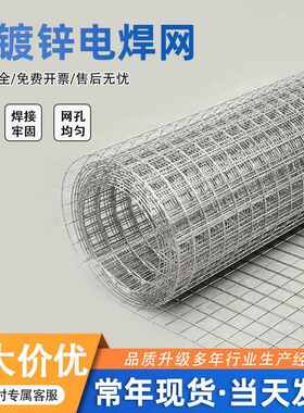 热镀锌电焊网钢丝网抹墙细铁丝电焊网内外墙保温防开裂焊接方格网