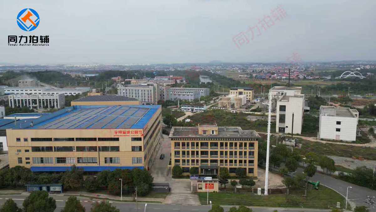 5月28日长沙市科技公司的土地使用权、房屋(构筑物)及附属设施（厂房屋顶光伏电站及附属设备除外网络拍卖公告