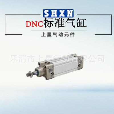 DNC气缸费斯托型标准缸DNC40/32/50/100X100-PPA（Festo型）气缸